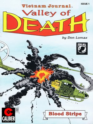 cover image of Vietnam Journal: Valley of Death, Issue 1